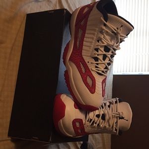 10.5 Air Jordan 11 Retro LE